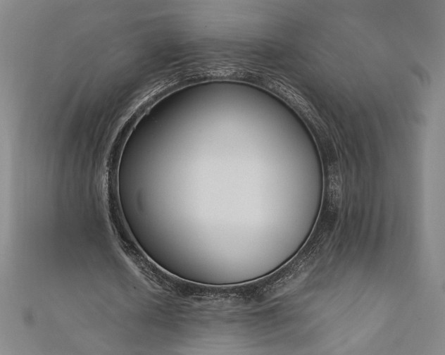 X0000111920626200908031205