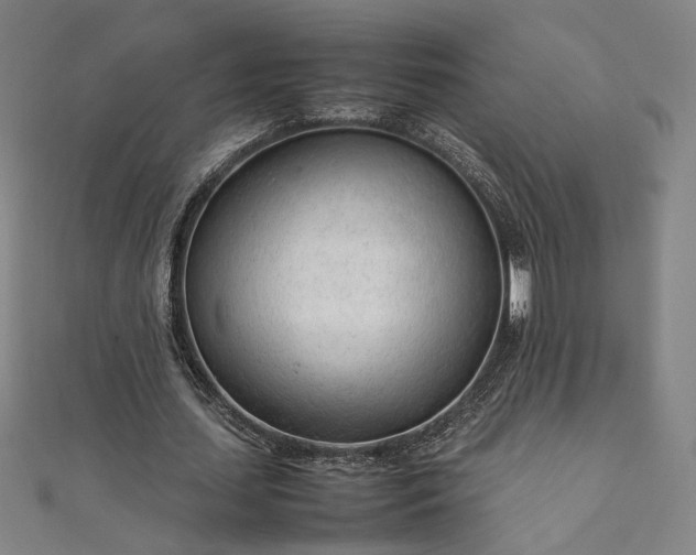 X0000111920627200908031205