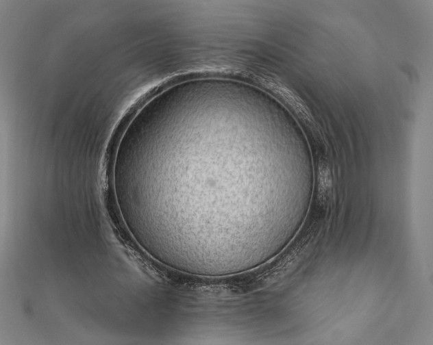 X0000111920628200908031205