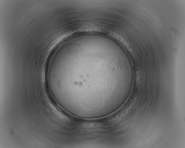 X0000111920629200908031205