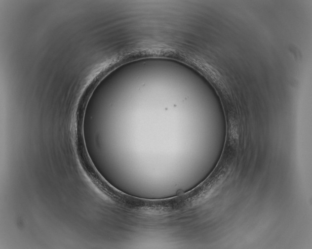 X0000111920630200908031205