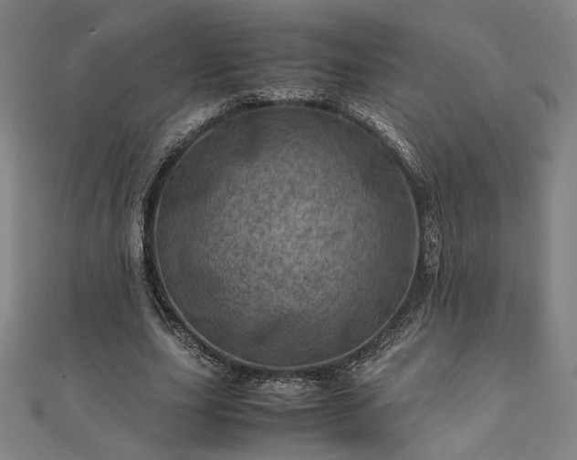 X0000111920631200908031205