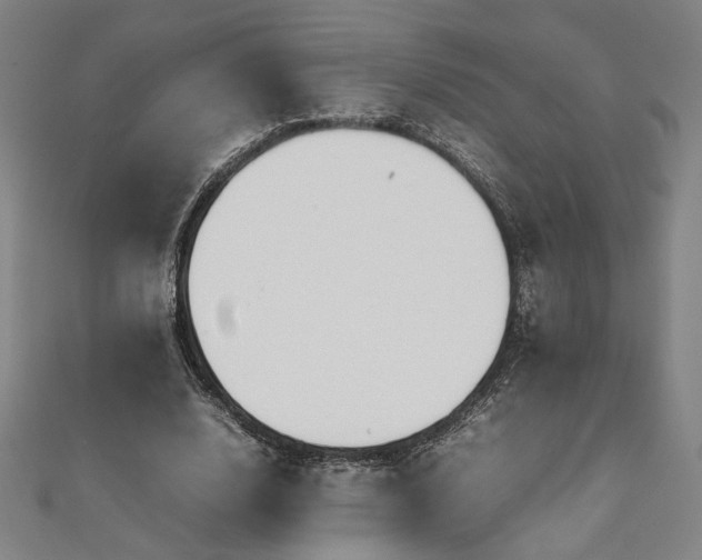 X0000111920632200908031205