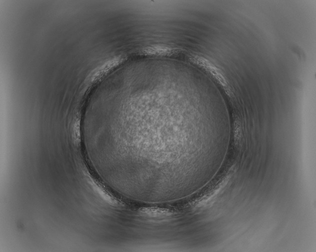 X0000111920633200908031205