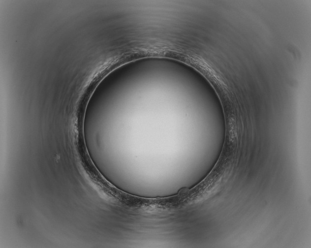 X0000111920634200908031205