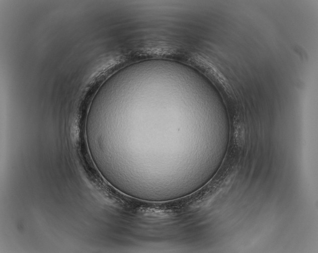 X0000111920635200908031205