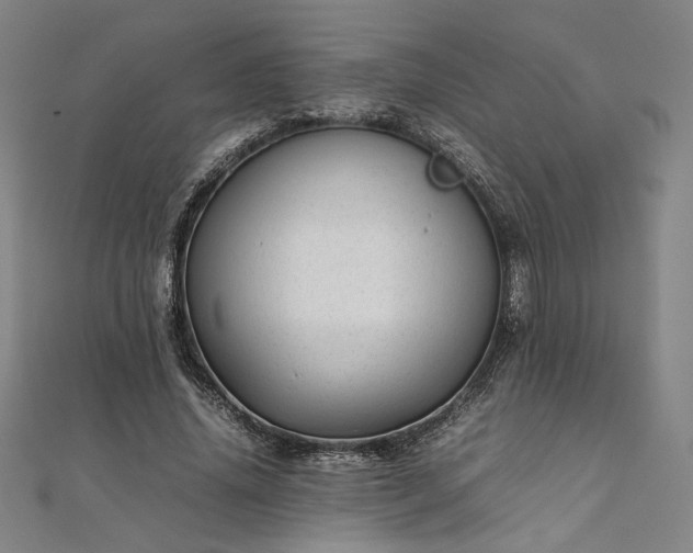 X0000111920636200908031205