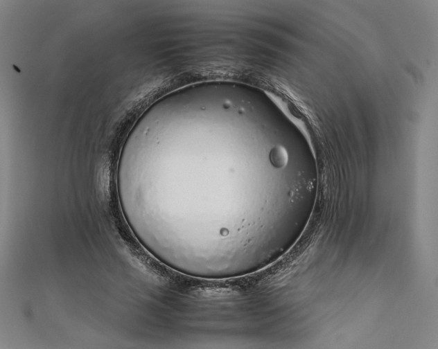 X0000111920637200908031205