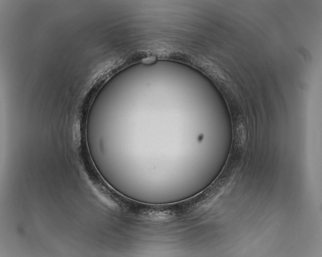 X0000111920638200908031205