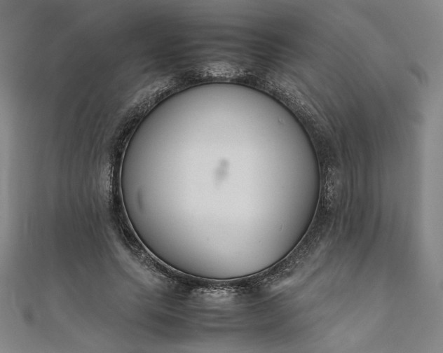 X0000111920639200908031205