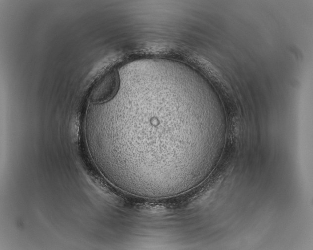 X0000111920640200908031205