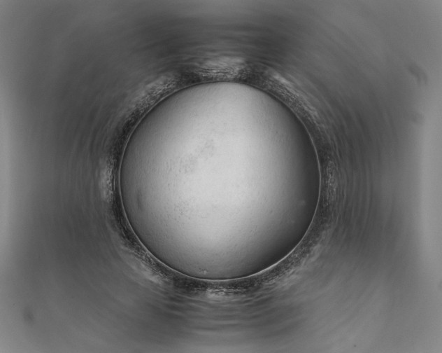 X0000111920641200908031205