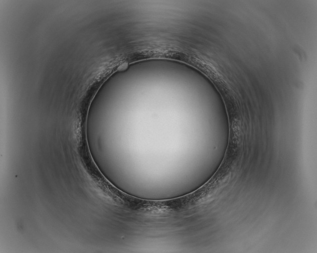 X0000111920642200908031205