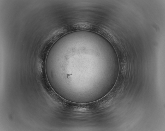 X0000111920643200908031205