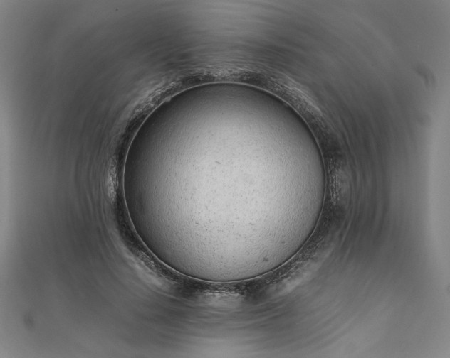 X0000111920644200908031205