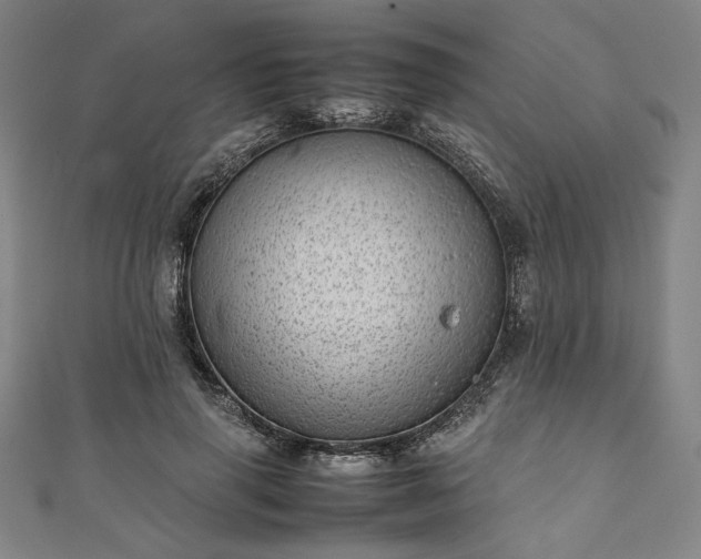 X0000111920645200908031205