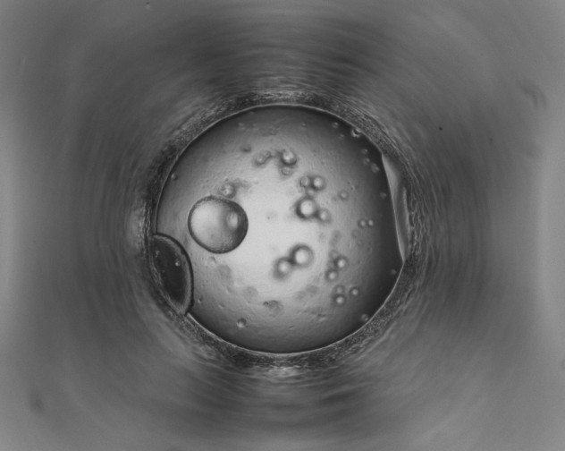 X0000111920647200908031205