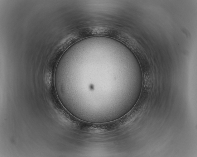 X0000111920648200908031205