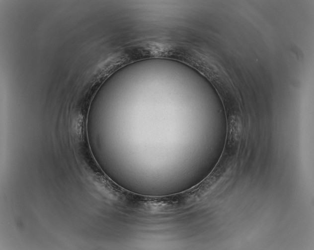 X0000111920650200908031205