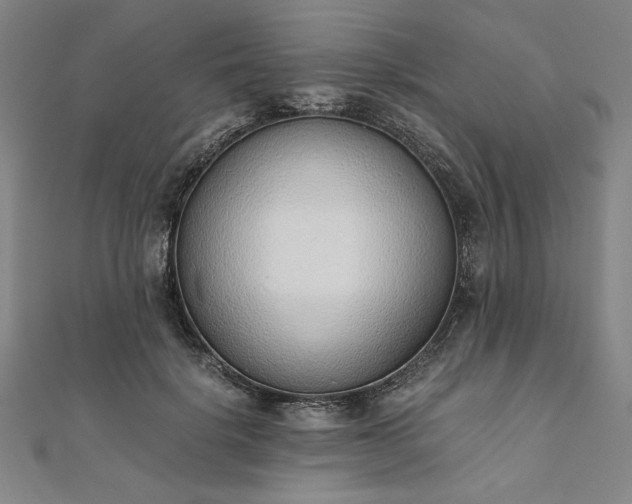 X0000111920652200908031205