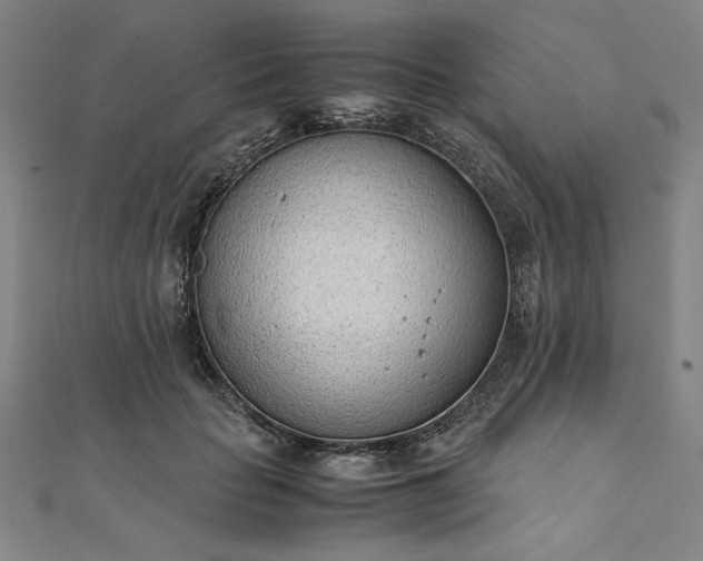 X0000111920653200908031205