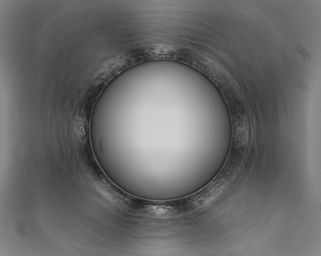 X0000111920654200908031205