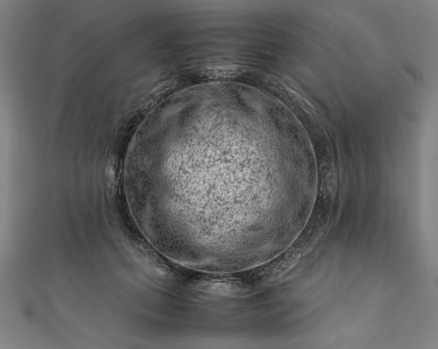 X0000111920655200908031205