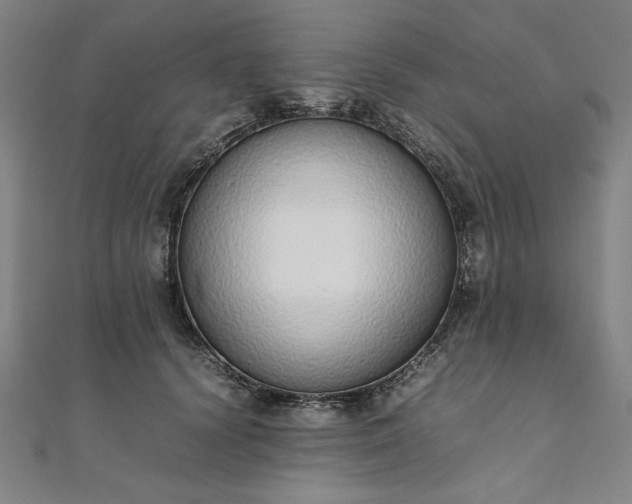 X0000111920656200908031205