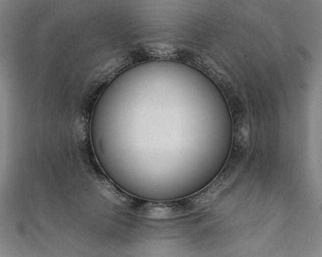 X0000111920658200908031206