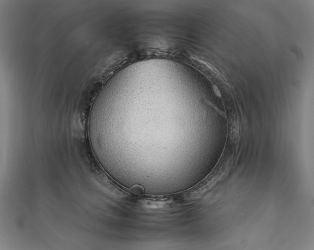 X0000111920661200908031206