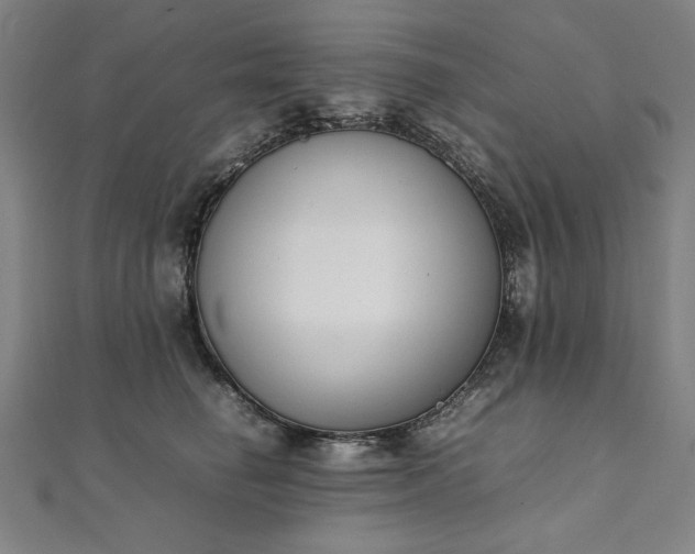 X0000111920662200908031206