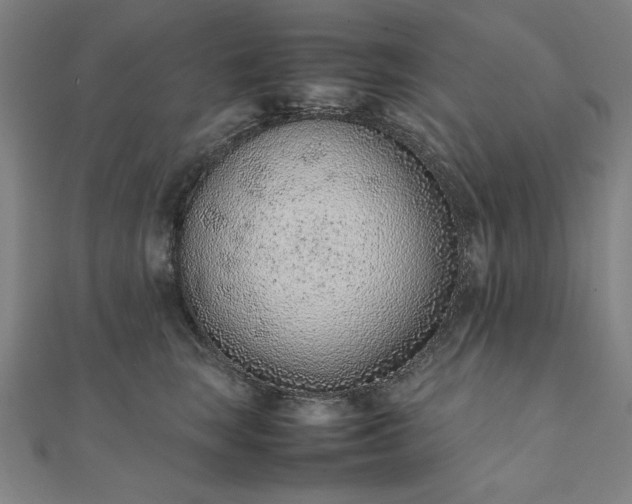 X0000111920663200908031206