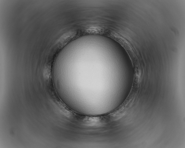 X0000111920665200908031206