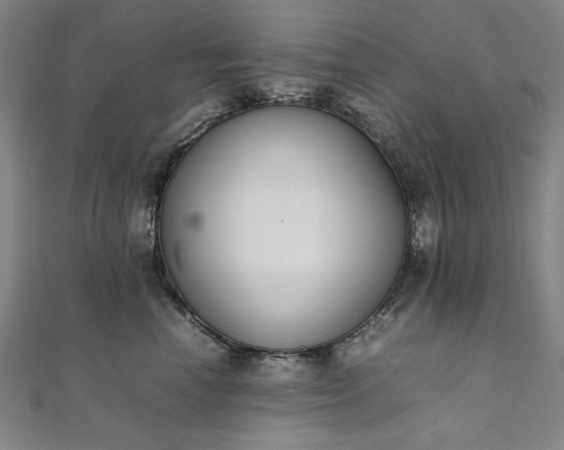 X0000111920666200908031206