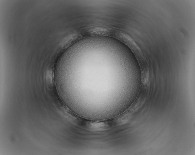 X0000111920669200908031206