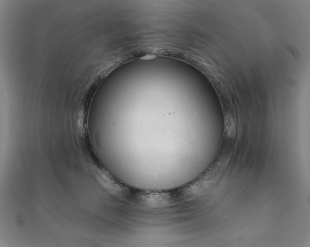 X0000111920670200908031206