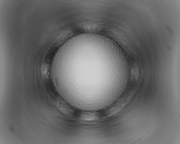 X0000111920671200908031206