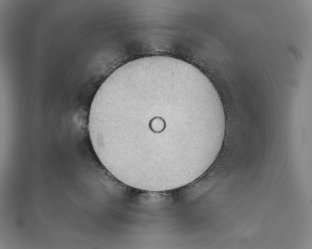 X0000111920672200908031206