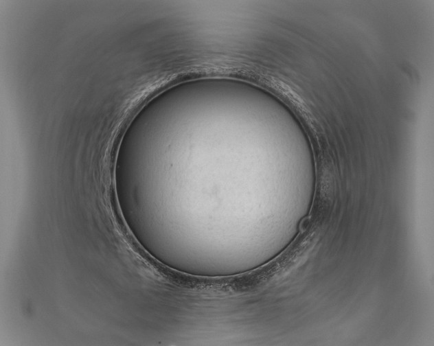 X0000111920673200908031205