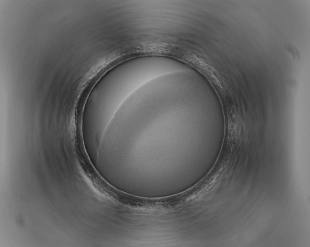 X0000111920674200908031205