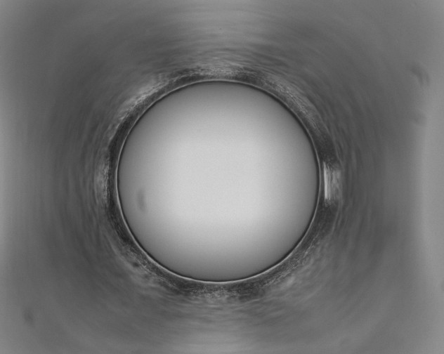 X0000111920675200908031205