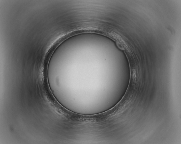 X0000111920676200908031205