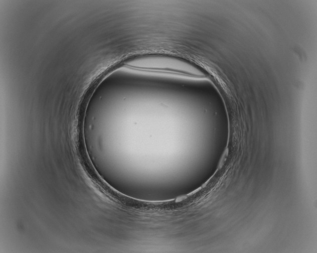 X0000111920677200908031205