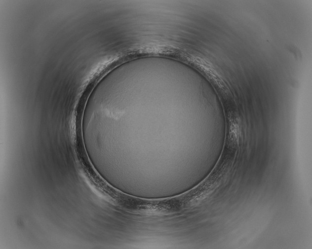 X0000111920678200908031205