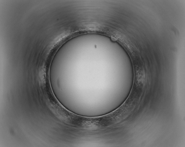 X0000111920680200908031205