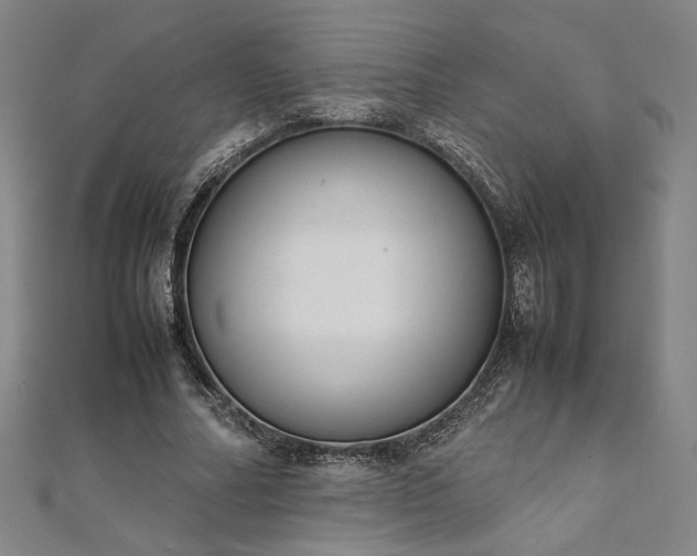 X0000111920682200908031205