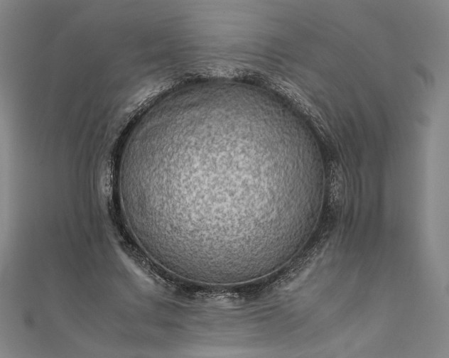 X0000111920683200908031205