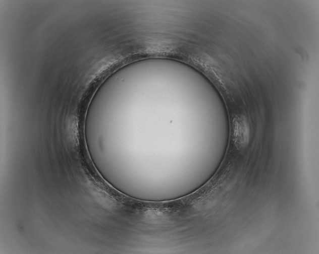 X0000111920684200908031205