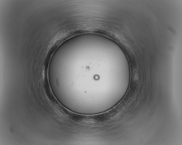 X0000111920685200908031205