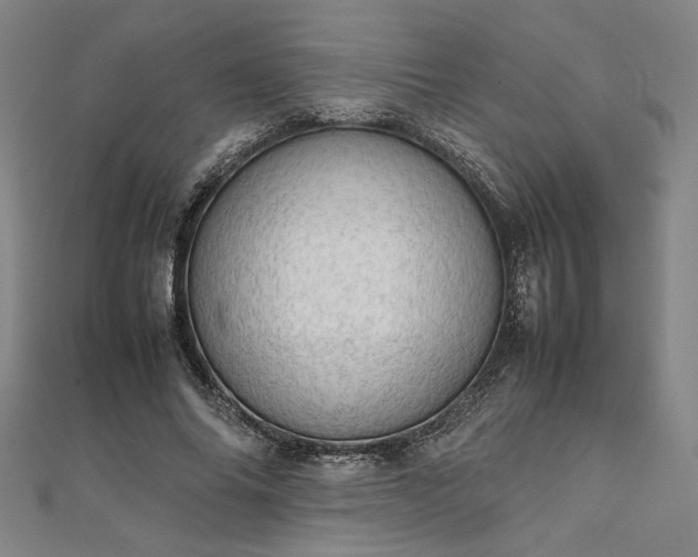 X0000111920686200908031205